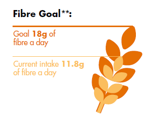 FSS fibre goals